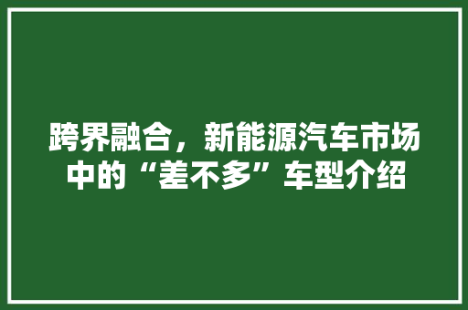 跨界融合，新能源汽车市场中的“差不多”车型介绍