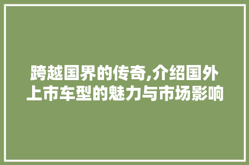 跨越国界的传奇,介绍国外上市车型的魅力与市场影响力 蓄电池配件