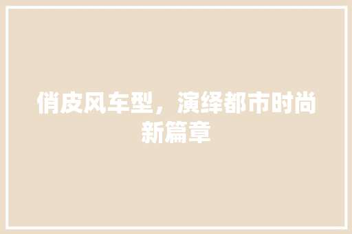 俏皮风车型，演绎都市时尚新篇章
