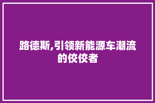 路德斯,引领新能源车潮流的佼佼者