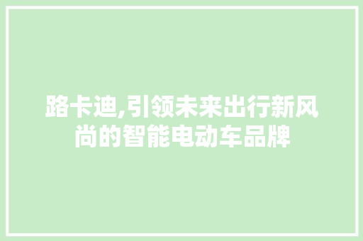 路卡迪,引领未来出行新风尚的智能电动车品牌
