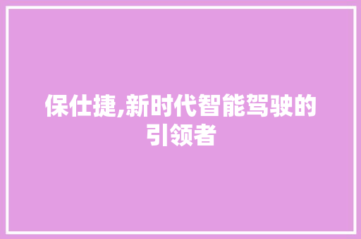 保仕捷,新时代智能驾驶的引领者