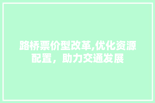 路桥票价型改革,优化资源配置，助力交通发展