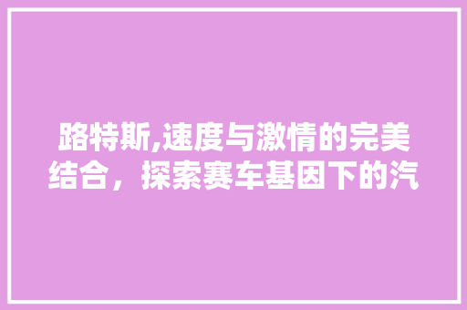 路特斯,速度与激情的完美结合，探索赛车基因下的汽车传奇