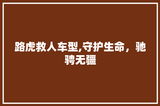 路虎救人车型,守护生命，驰骋无疆