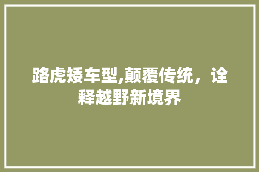 路虎矮车型,颠覆传统，诠释越野新境界 车灯配件