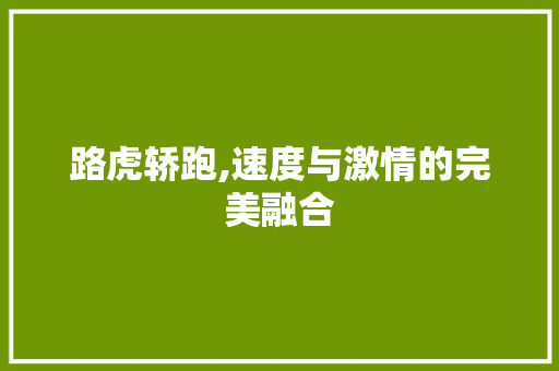 路虎轿跑,速度与激情的完美融合