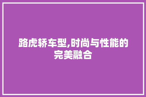 路虎轿车型,时尚与性能的完美融合