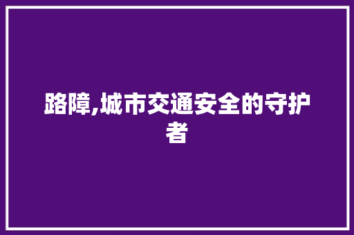 路障,城市交通安全的守护者