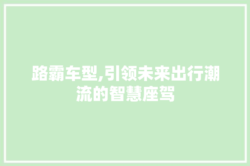 路霸车型,引领未来出行潮流的智慧座驾