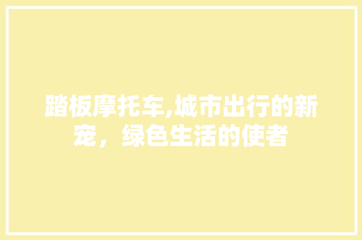 踏板摩托车,城市出行的新宠，绿色生活的使者