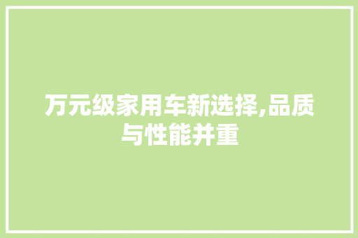 万元级家用车新选择,品质与性能并重