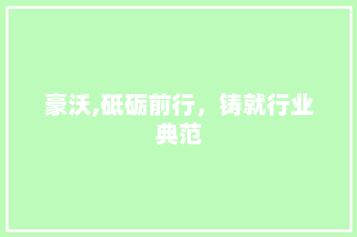 豪沃,砥砺前行，铸就行业典范
