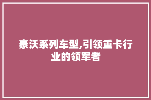 豪沃系列车型,引领重卡行业的领军者