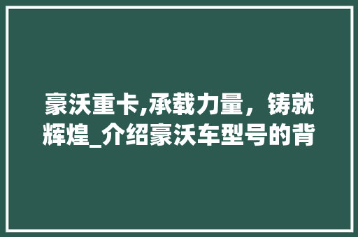 豪沃重卡,承载力量，铸就辉煌_介绍豪沃车型号的背后故事