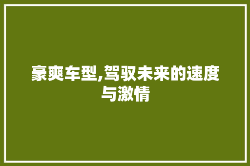 豪爽车型,驾驭未来的速度与激情