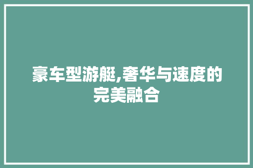 豪车型游艇,奢华与速度的完美融合