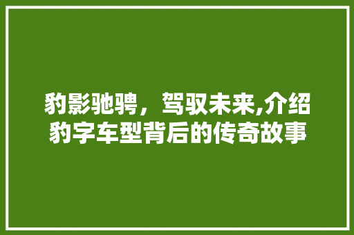 豹影驰骋，驾驭未来,介绍豹字车型背后的传奇故事