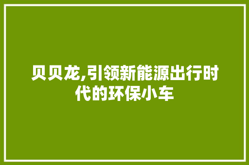 贝贝龙,引领新能源出行时代的环保小车