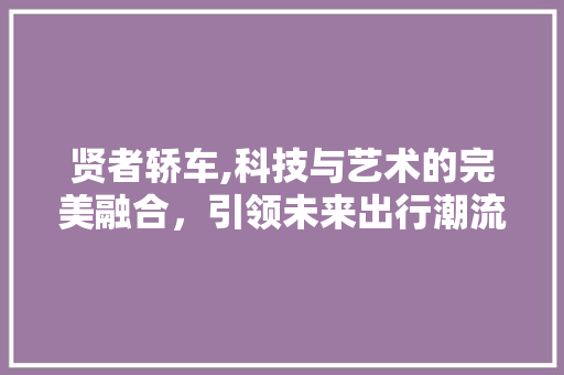 贤者轿车,科技与艺术的完美融合，引领未来出行潮流