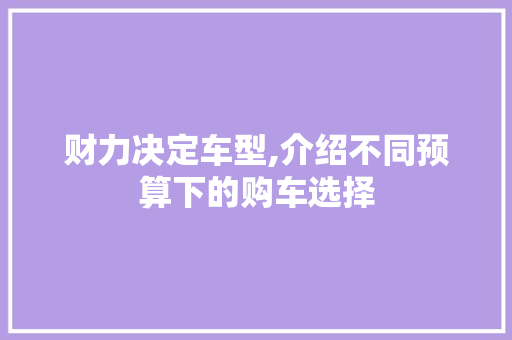 财力决定车型,介绍不同预算下的购车选择