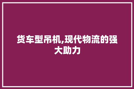 货车型吊机,现代物流的强大助力