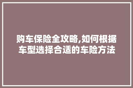 购车保险全攻略,如何根据车型选择合适的车险方法