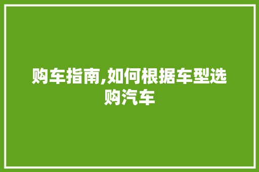 购车指南,如何根据车型选购汽车