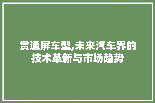 贯通屏车型,未来汽车界的技术革新与市场趋势 蓄电池配件