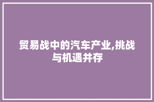 贸易战中的汽车产业,挑战与机遇并存 底盘配件