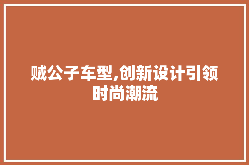 贼公子车型,创新设计引领时尚潮流