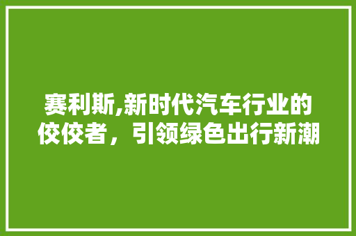 赛利斯,新时代汽车行业的佼佼者，引领绿色出行新潮流