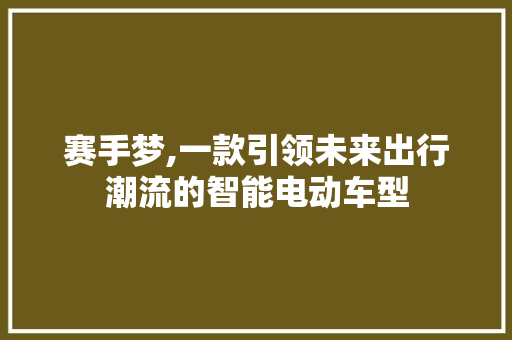 赛手梦,一款引领未来出行潮流的智能电动车型
