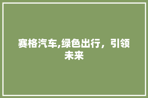 赛格汽车,绿色出行，引领未来