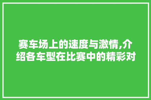 赛车场上的速度与激情,介绍各车型在比赛中的精彩对决