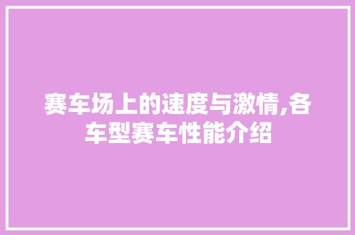 赛车场上的速度与激情,各车型赛车性能介绍
