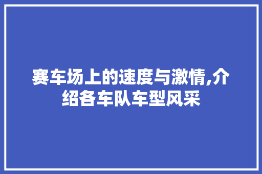 赛车场上的速度与激情,介绍各车队车型风采