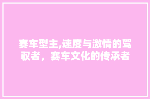 赛车型主,速度与激情的驾驭者，赛车文化的传承者