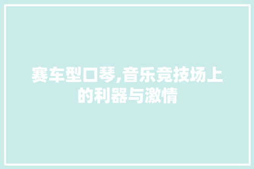 赛车型口琴,音乐竞技场上的利器与激情