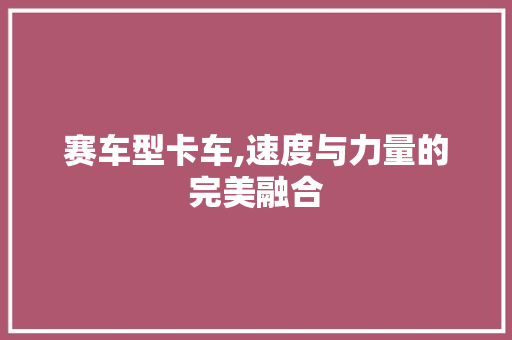 赛车型卡车,速度与力量的完美融合