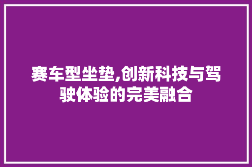 赛车型坐垫,创新科技与驾驶体验的完美融合