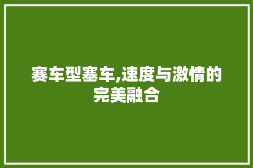 赛车型塞车,速度与激情的完美融合