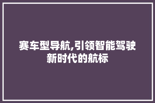 赛车型导航,引领智能驾驶新时代的航标