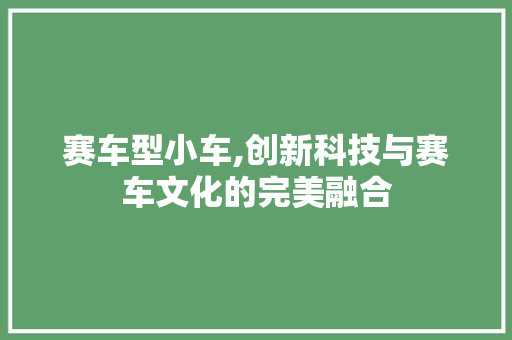 赛车型小车,创新科技与赛车文化的完美融合