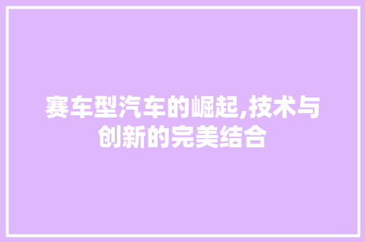赛车型汽车的崛起,技术与创新的完美结合