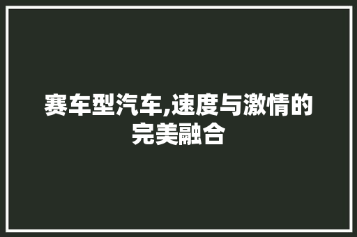 赛车型汽车,速度与激情的完美融合