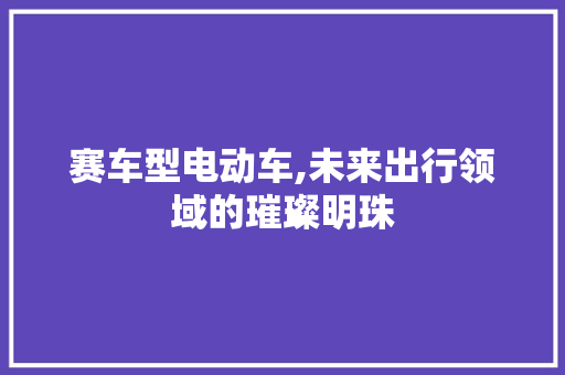 赛车型电动车,未来出行领域的璀璨明珠