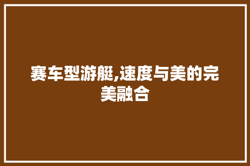 赛车型游艇,速度与美的完美融合