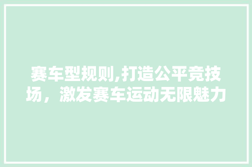 赛车型规则,打造公平竞技场，激发赛车运动无限魅力 车灯配件