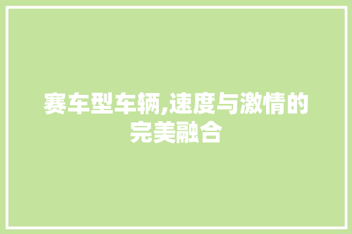 赛车型车辆,速度与激情的完美融合